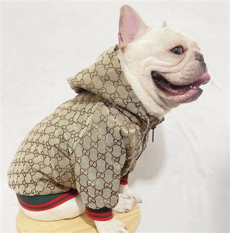 gucci im a dog|gucci dog hoodie.